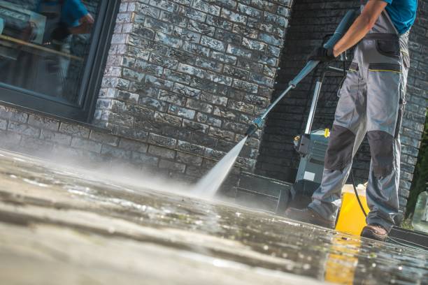 Best Driveway Pressure Washing  in Daleville, IN