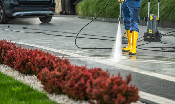 Best Dumpster Area Cleaning  in Daleville, IN