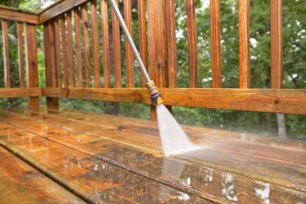 Best Animal Enclosure Cleaning  in Daleville, IN